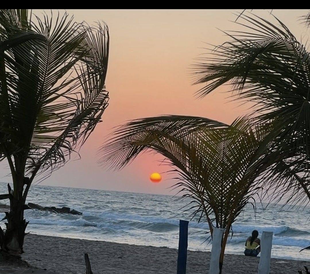 Atardecer entre palmeras frente al mar